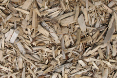 biomass boilers Scurlage